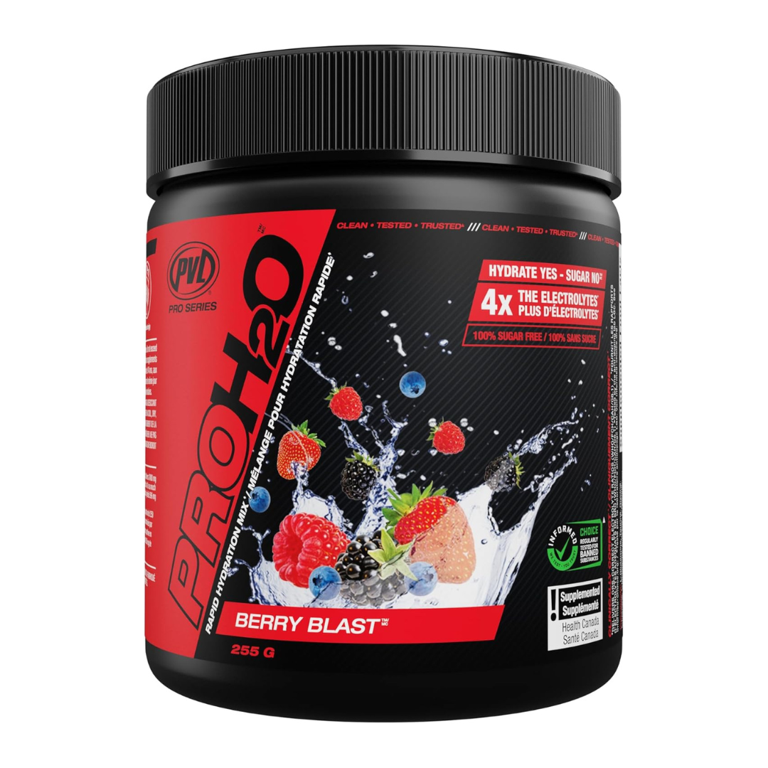 PVL PRO H2O Hydration Mix 255g