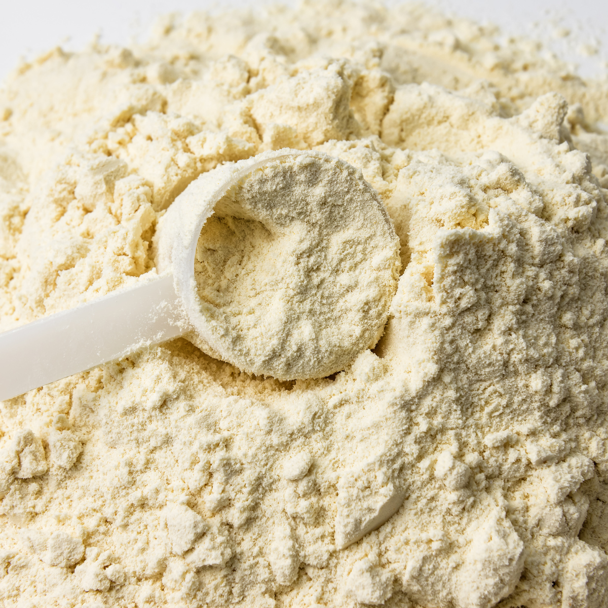 Fuel Your Fitness Journey with Protein Powder – fuelsupplements.com