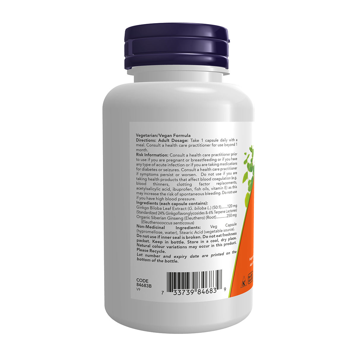 NOW Gingko Biloba 120mg 100 Caps