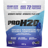 PVL PRO H2O Hydration Mix 615g - 72 Servings
