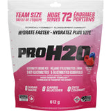 PVL PRO H2O Hydration Mix 615g - 72 Servings