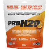 PVL PRO H2O Hydration Mix 615g - 72 Servings